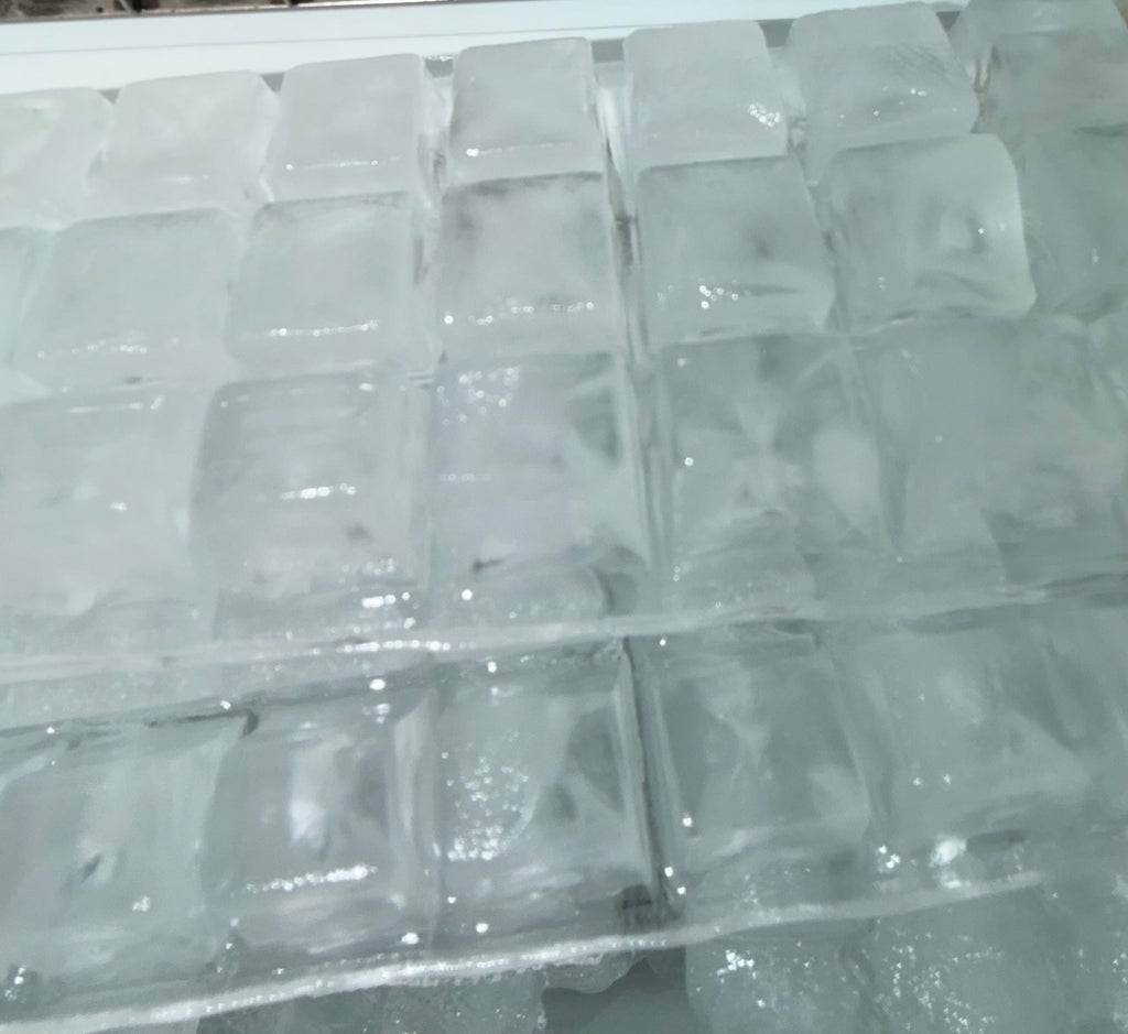 Counter Top Ice Maker