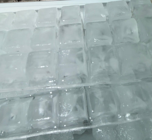 Counter Top Ice Maker
